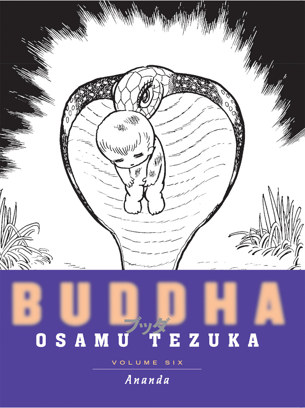 Buddha, Volume 6: Ananda