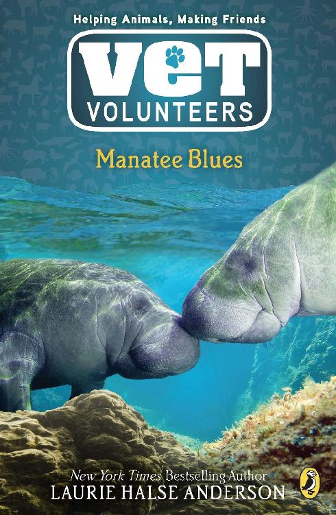 Vet Volunteers 04- Manatee Blues