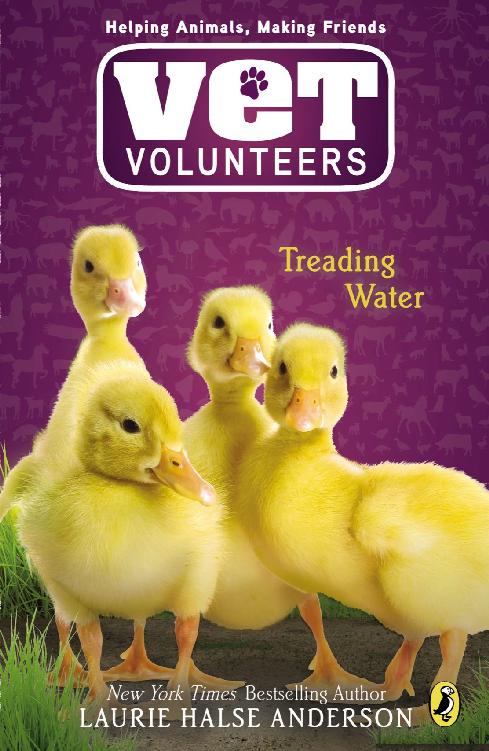 Vet Volunteers 16- Treading Water