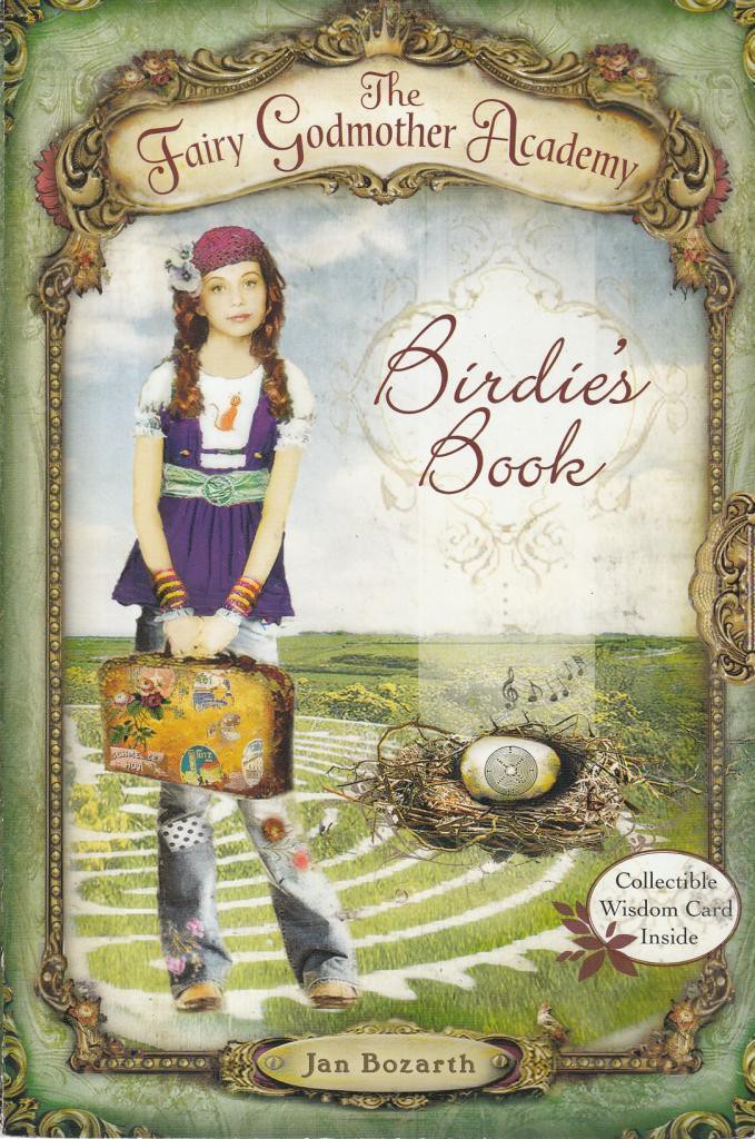 The Fairy Godmother Academy #1: Birdie's Book