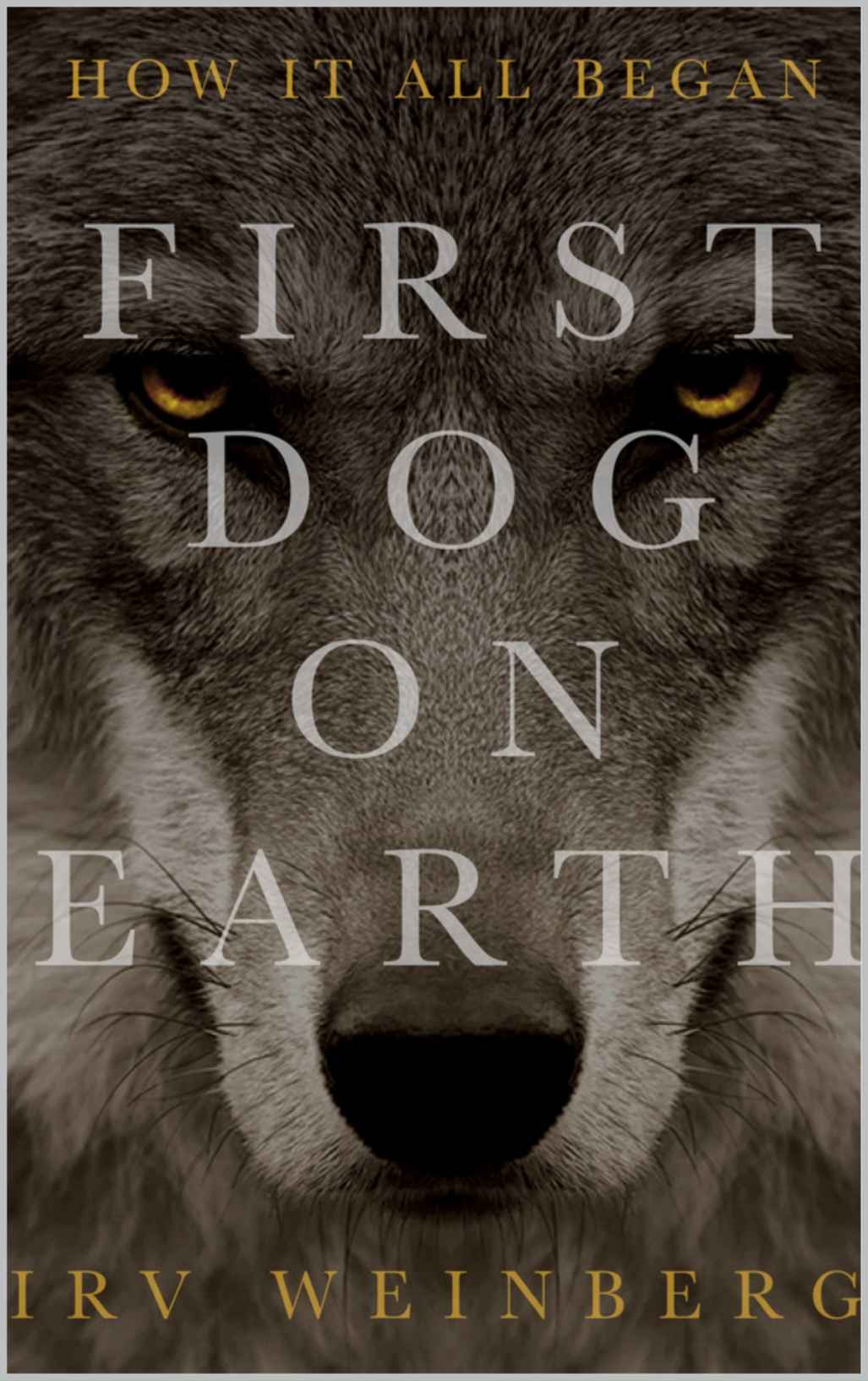 First Dog on Earth