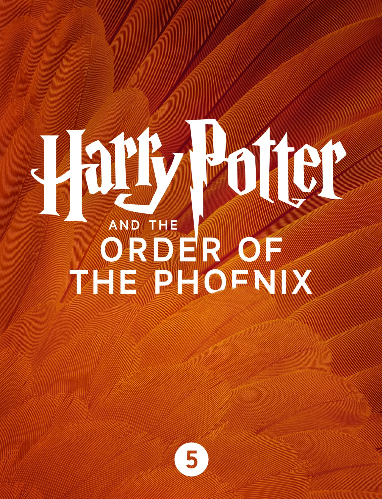 Harry Potter and the Order of the Phoenix Enhanced