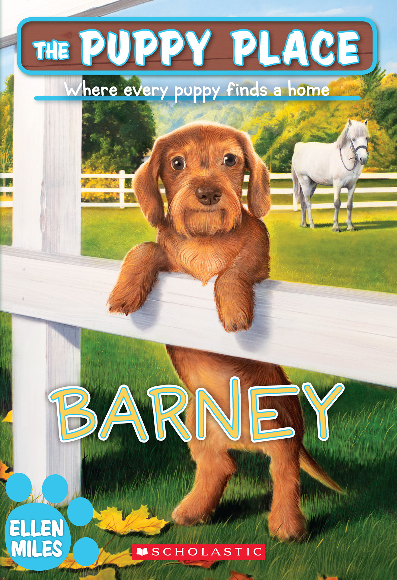 The Puppy Place - Barney