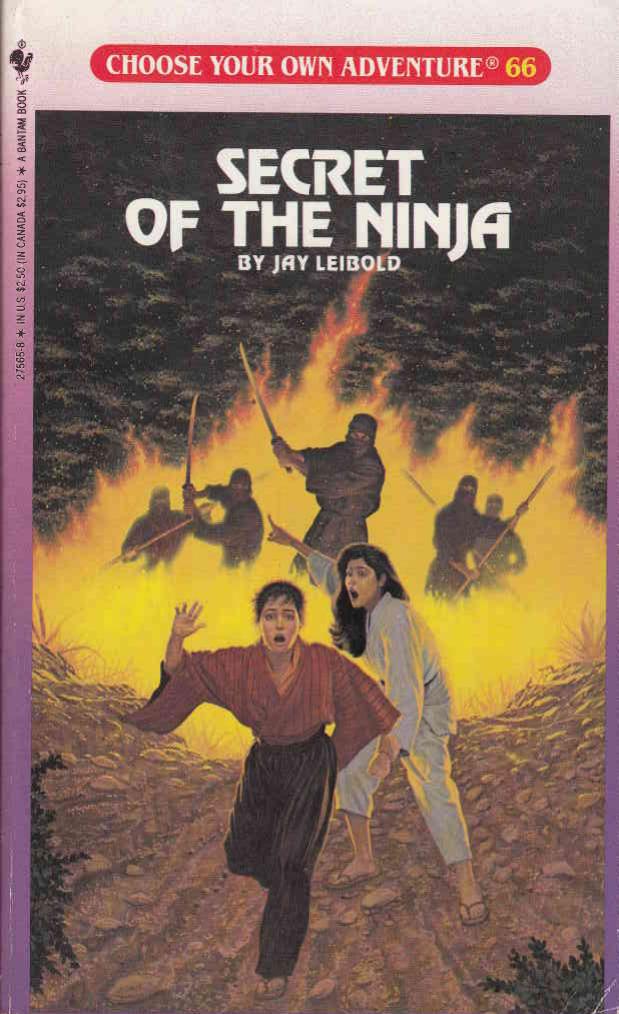 Secret of the Ninja (Choose Your Own Adventure #66)
