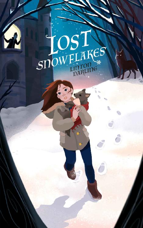 Lost Snowflakes