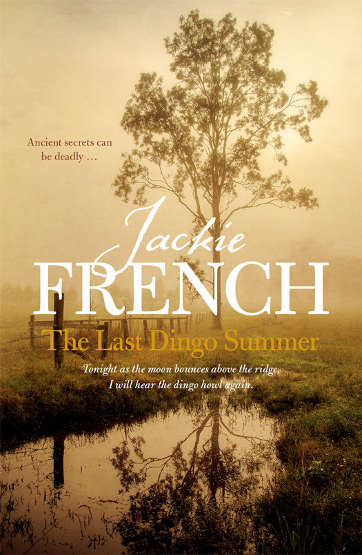 The Last Dingo Summer
