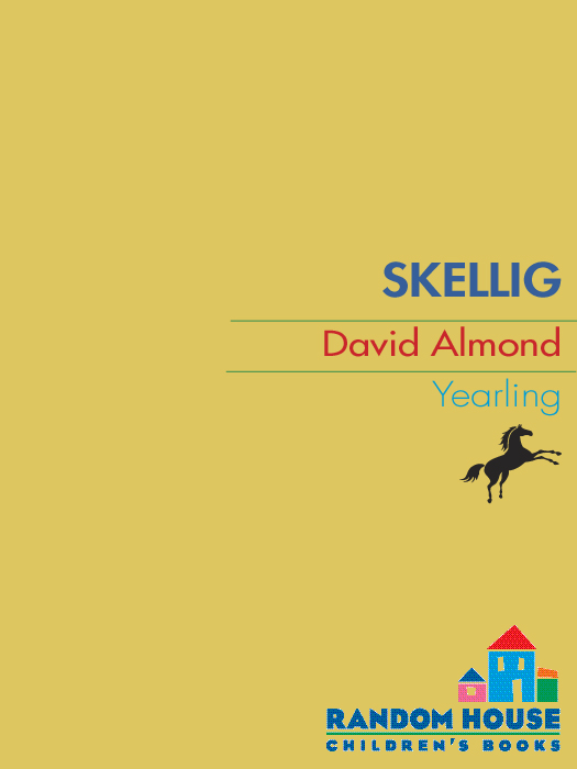 Skellig
