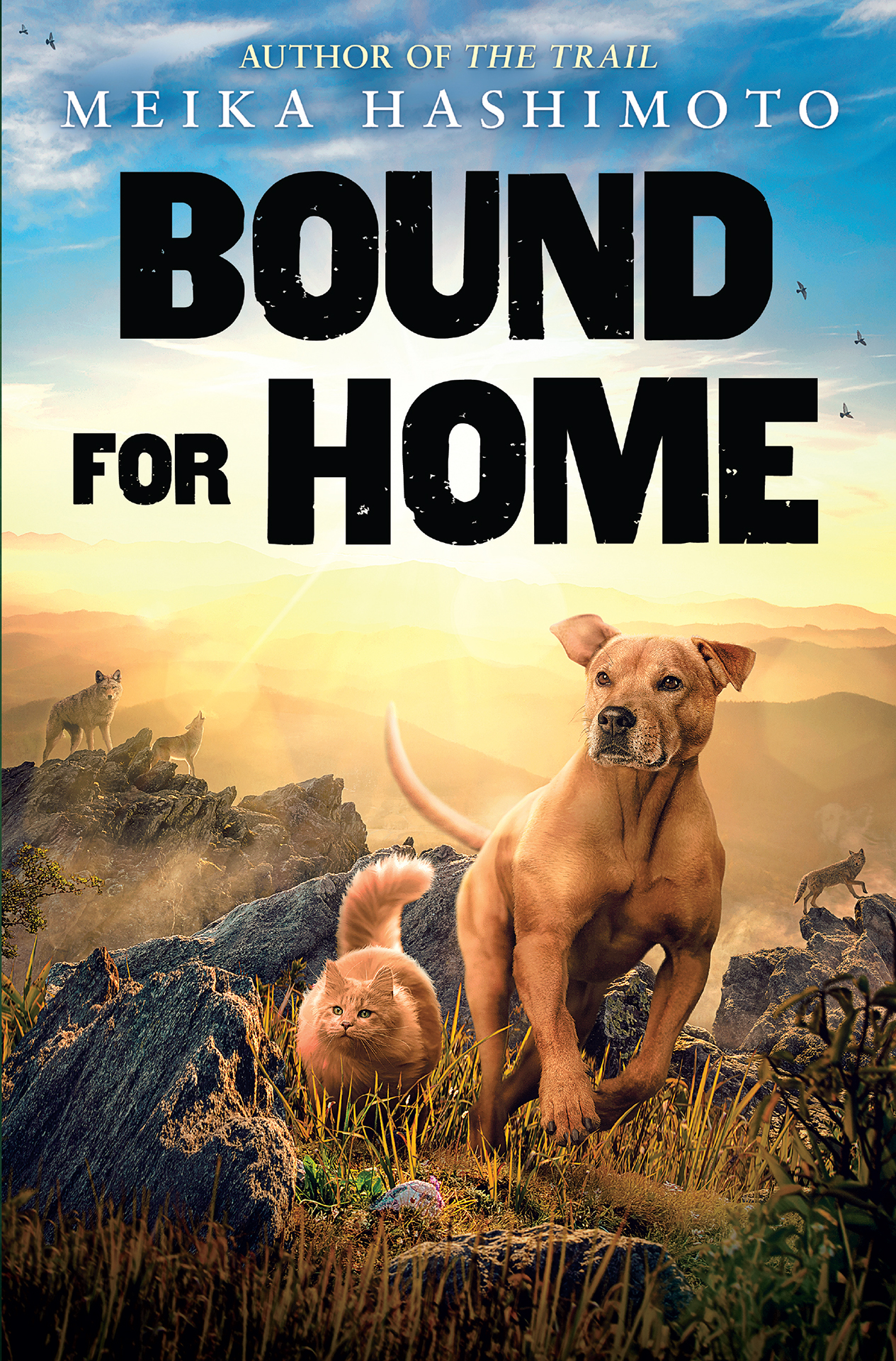 Bound For Home