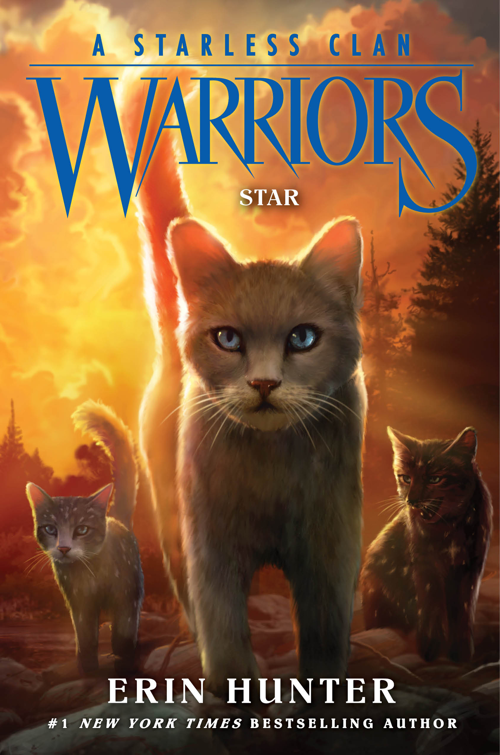 A Starless Clan Warriors - Star