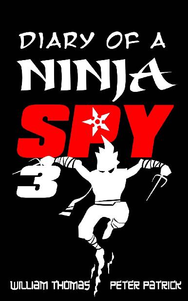 Diary of a Ninja Spy 3: Ninja Ghost Attack!