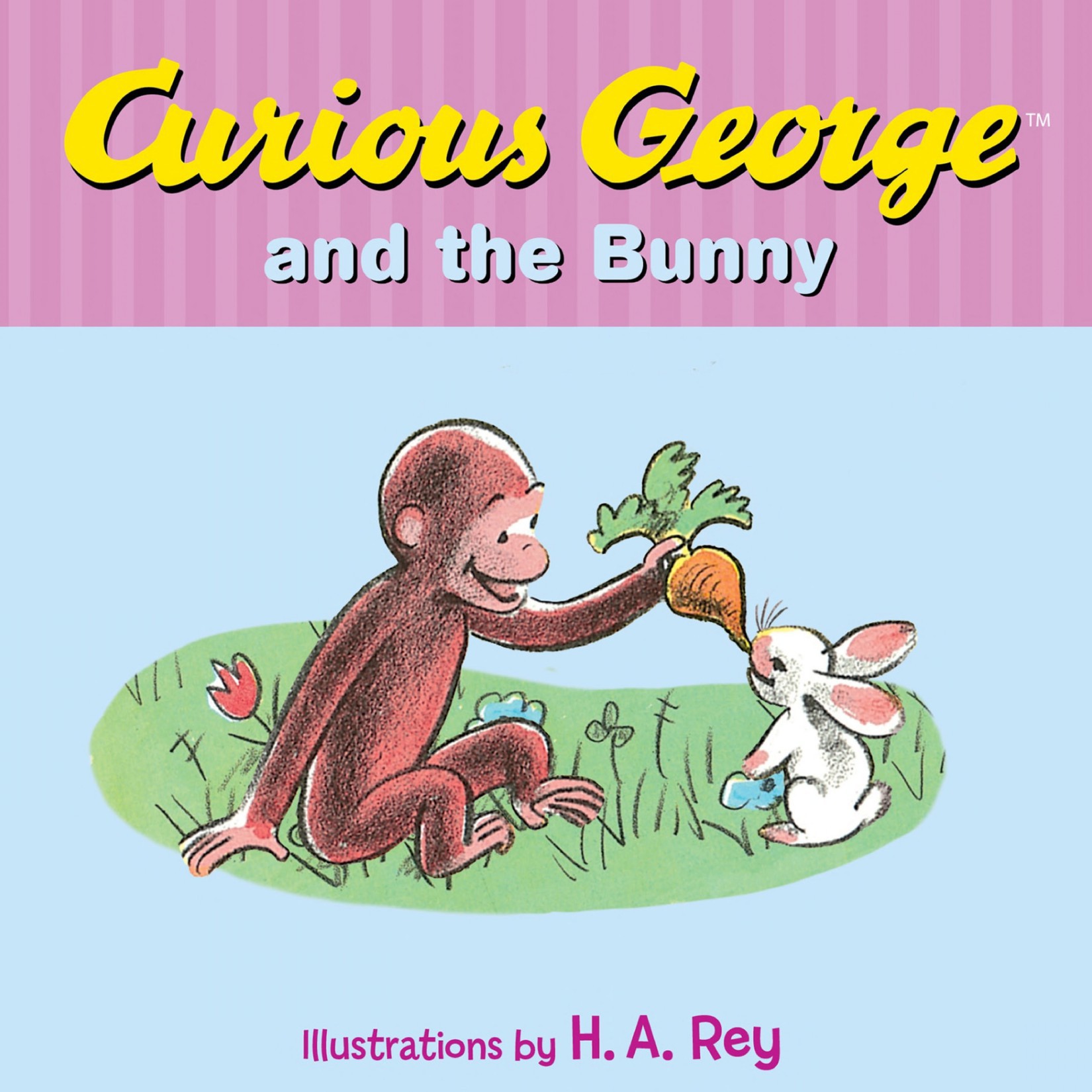 Curious George and the Bunny
