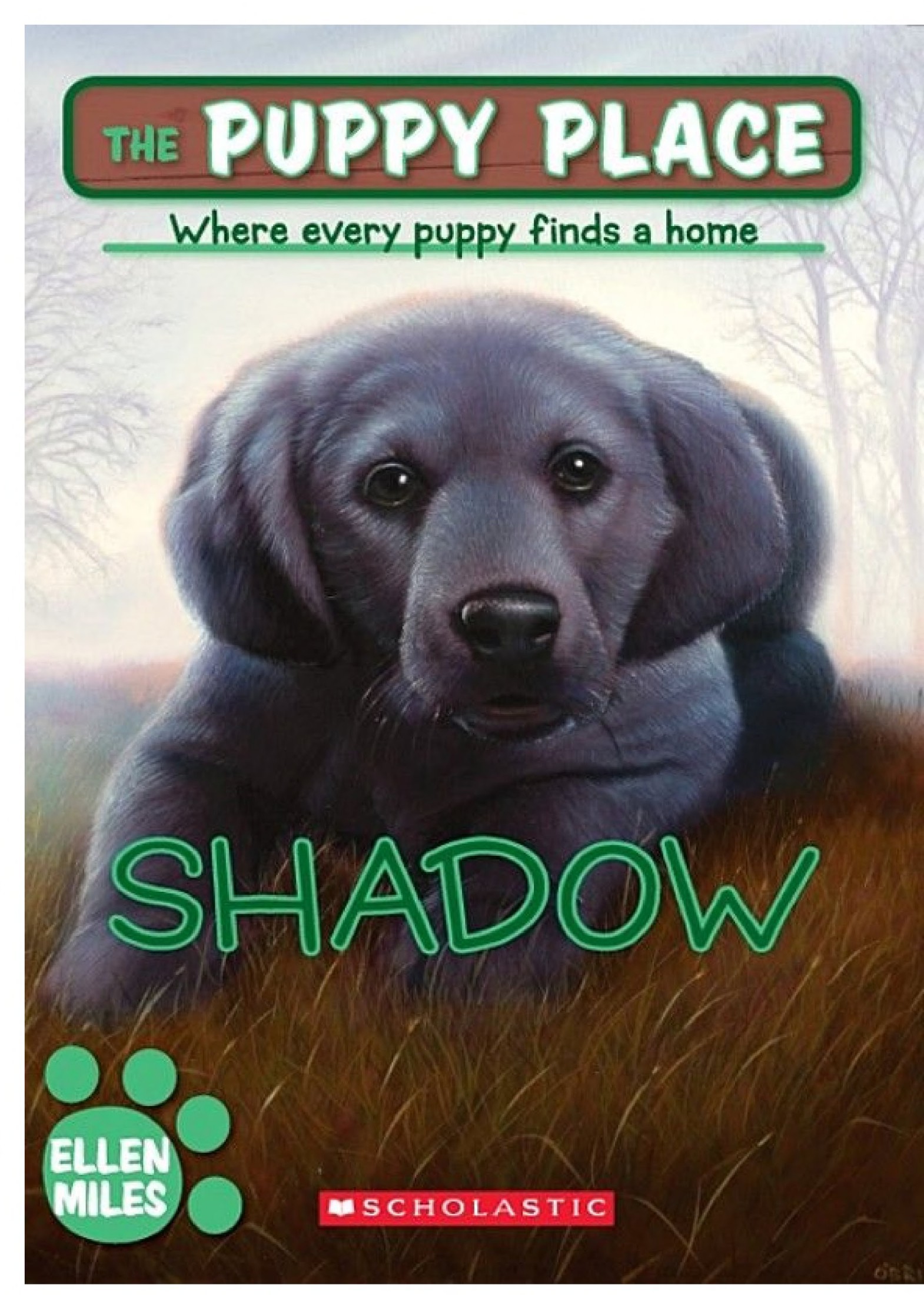 Shadow