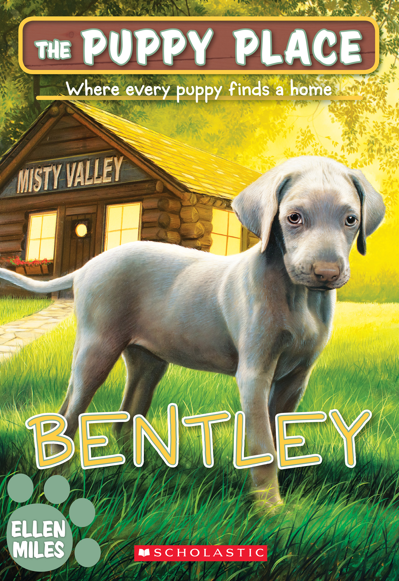 Bentley (The Puppy Place #53)