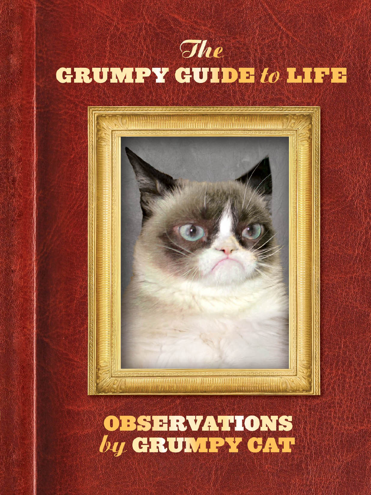 The Grumpy Guide to Life: Observations From Grumpy Cat