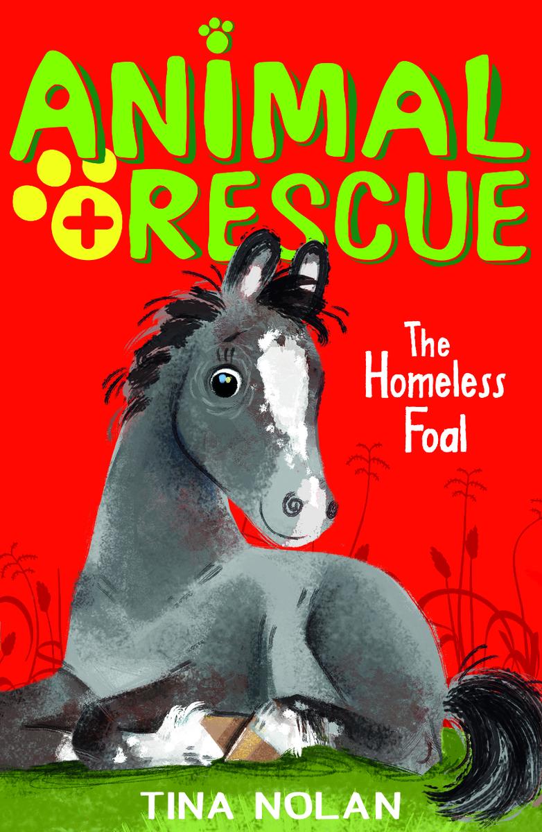 The Homeless Foal