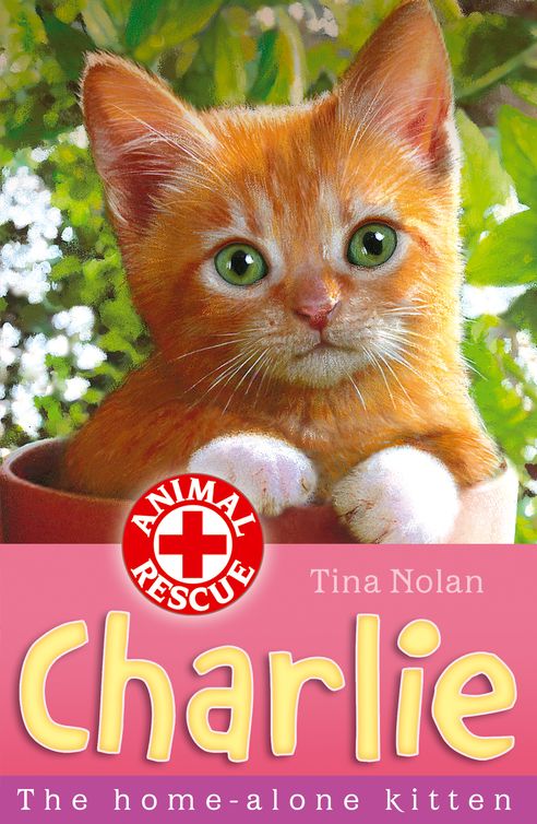 Charlie, the Home-Alone Kitten